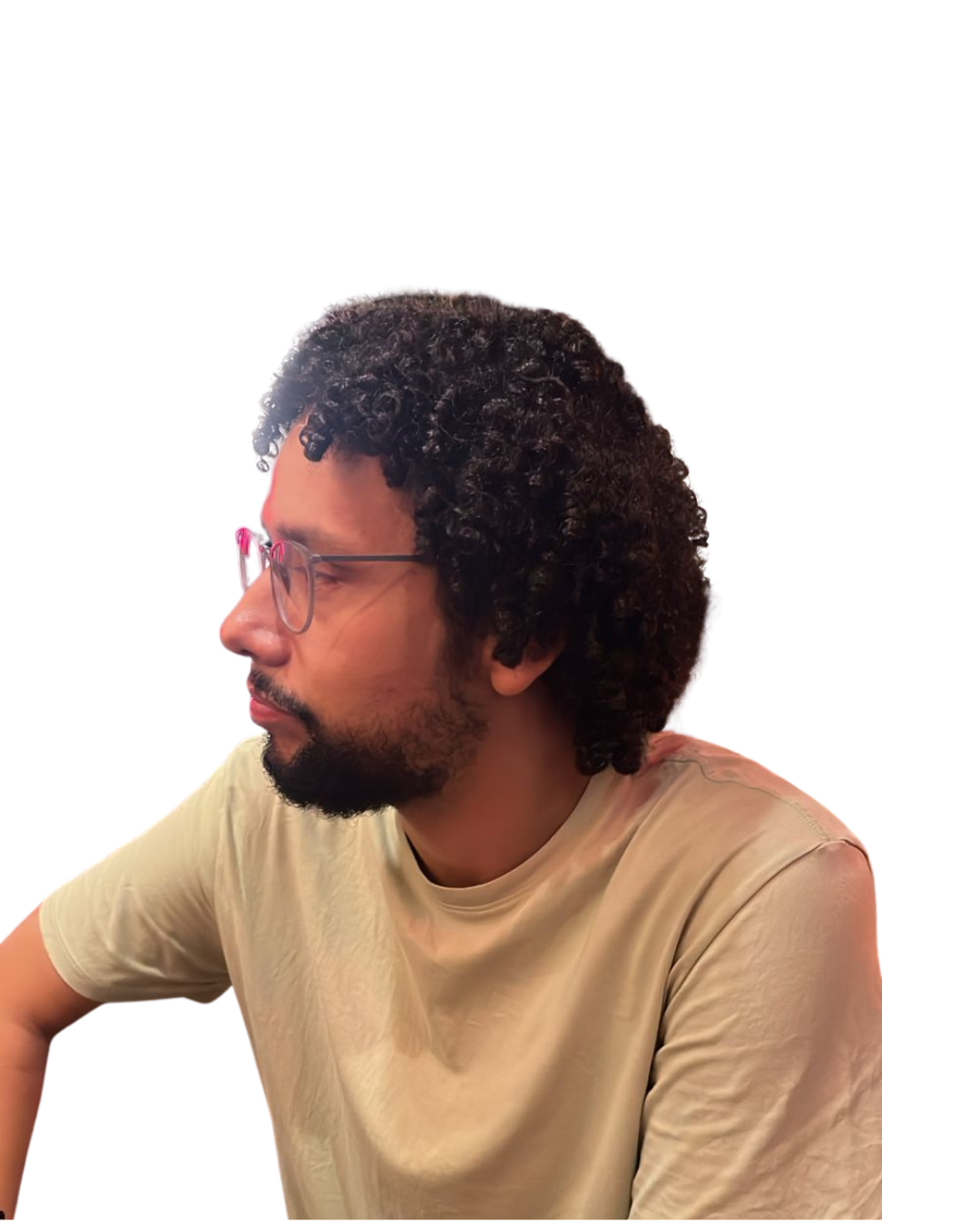 Pedro Gabriel Campos Brasil